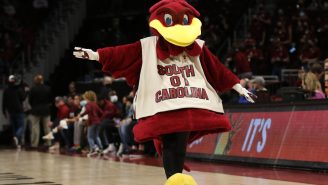 South Carolina Is Changing The Name Of Its Live Mascot And The Options Are Completely Hilarious
