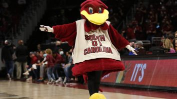 South Carolina Is Changing The Name Of Its Live Mascot And The Options Are Completely Hilarious