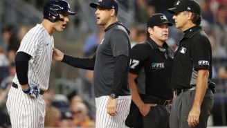 Yankees’ Anthony Rizzo Loses His Cool Following Umpire’s Questionable Hit-By-Pitch Call