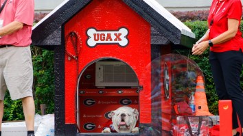 Georgia Fans Are Fed Up With The Bulldogs Poor Play Once Again