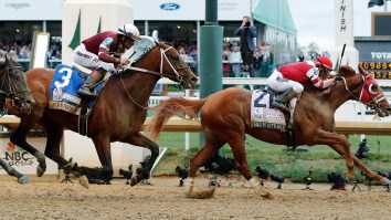 How Many Horses Have Died At Kentucky Derby? A Closer Look At The Dark Side Of The Race